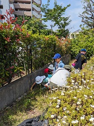緑道の隅で石をひっくり返して、ダンゴムシを捕まえようとしている子ども達
