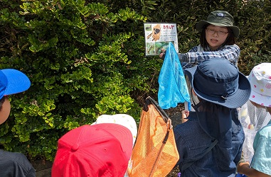 木陰で、絵入りのお手製フリップで説明する講師と、聴き入る子ども達