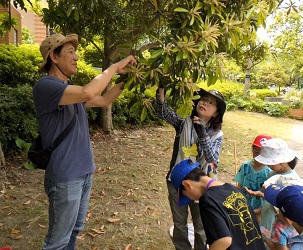 子ども達に椎の木の雄花と雌花を指し示す、青育連会長と講師