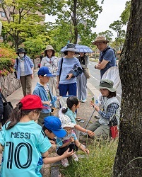 市総合図書館前の通り沿いの街路樹で、講師の説明を聴きながら植物観察している子ども達の様子