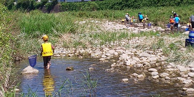 生き物探索の様子