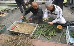 門松づくりの画像