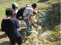 自然の中からカードの色を探している子どもたちの様子