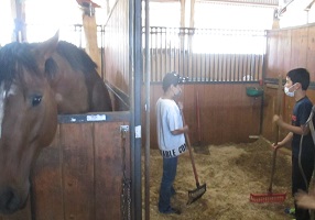 厩舎の藁掃除も体験する子どもたちの写真