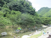 緑豊かな川辺の画像