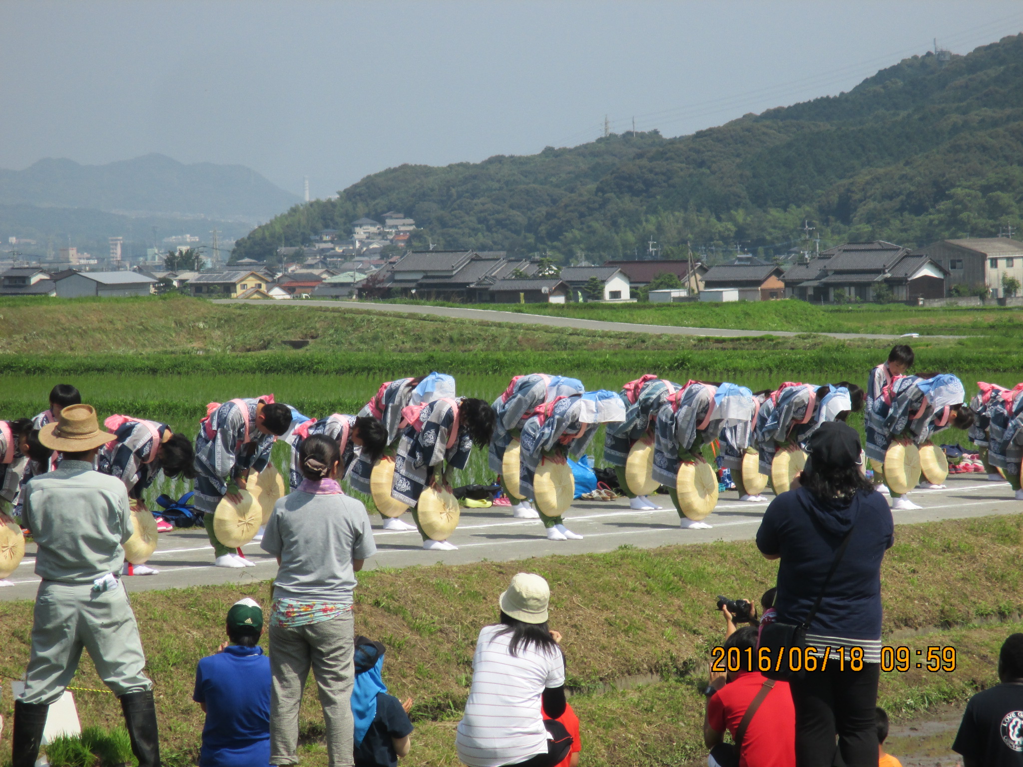 笠をかぶり列に並んで舞っています