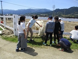 子どもたちとポニーが触れ合う写真