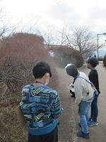 鳴き声のありかを探したりしながら歩く男子グループの写真