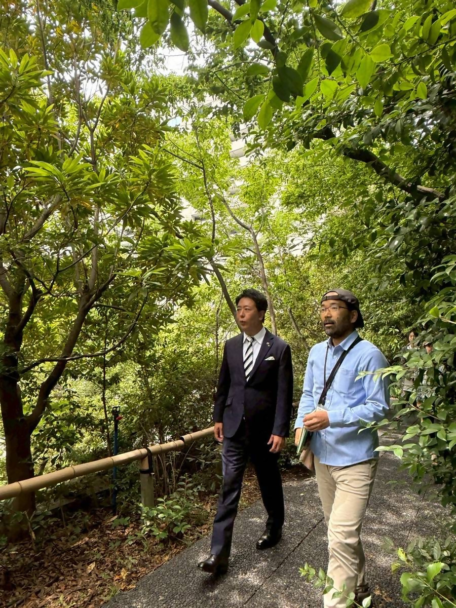 森のようなステップガーデン