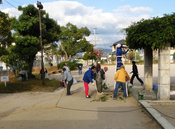 公園内の活動の様子