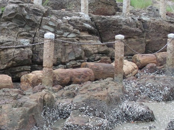 名島神社の海側にある帆柱石(ほばしらいし)