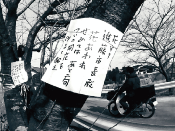 昭和59年3月「最後の花を咲かせて」と桜に下げた、嘆願の歌