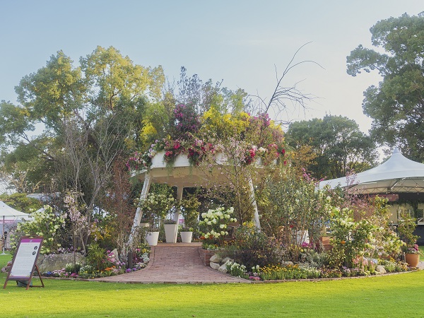 季節の鮮やかな花が集められている花壇