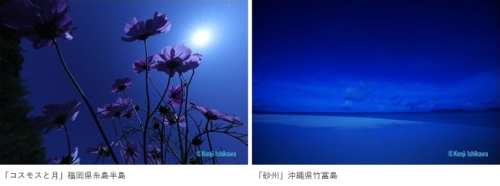 月夜に浮かぶ幻想的な深い青の世界を写した「コスモスと月」「砂州」の二つの作品