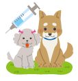 犬と注射器のイラスト