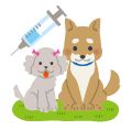 犬と注射器のイラスト