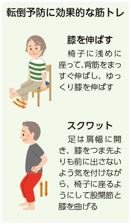 転倒予防に効果的な筋トレ(膝を伸ばす　スクワット)のイラスト