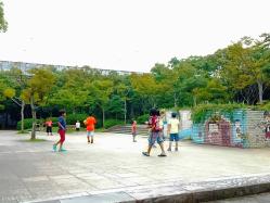 写真説明「外でもしっかり遊びます」