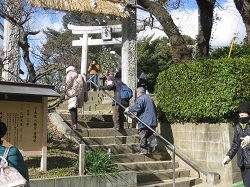 ウォーキングの様子の画像