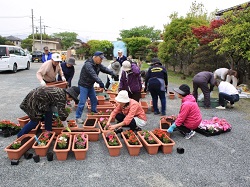 小学校で育てた苗をプランターに移植している画像