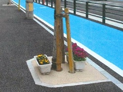 通学路沿いに設置しているプランターの写真1