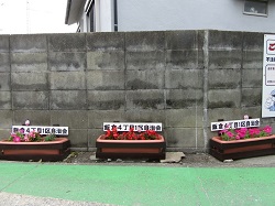 通学路沿いに設置しているプランターの写真2