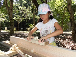 カンナ削りをしている画像