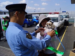 犬と対面している写真