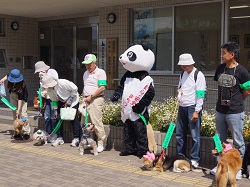 わんわんパトロール隊が勢ぞろいしている写真