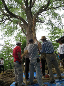 堤丘校区盆綱夏祭り2