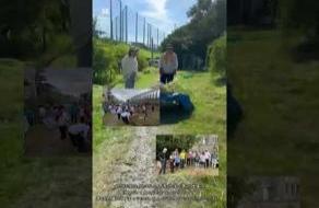 高校生部門特別賞受賞作品掲載ページへのリンク（コンテスト公式YouTubeアカウント）