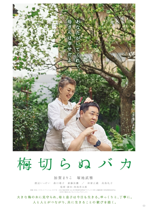 梅切らぬバカのチラシ