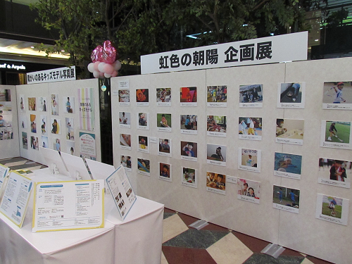 展示パネルの写真