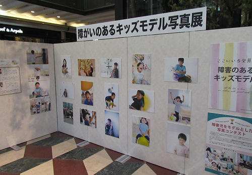 展示パネルの写真