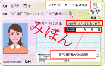 マイナンバーカードの有効期限と電子証明書の有効期限を指し示しているマイナンバーカードの見本。