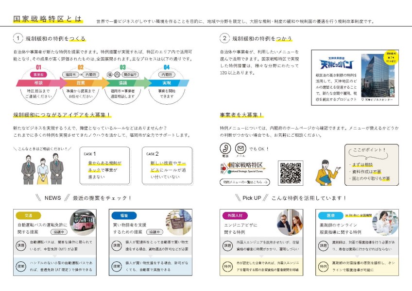 国家戦略特区チラシ（ウラ面）の画像