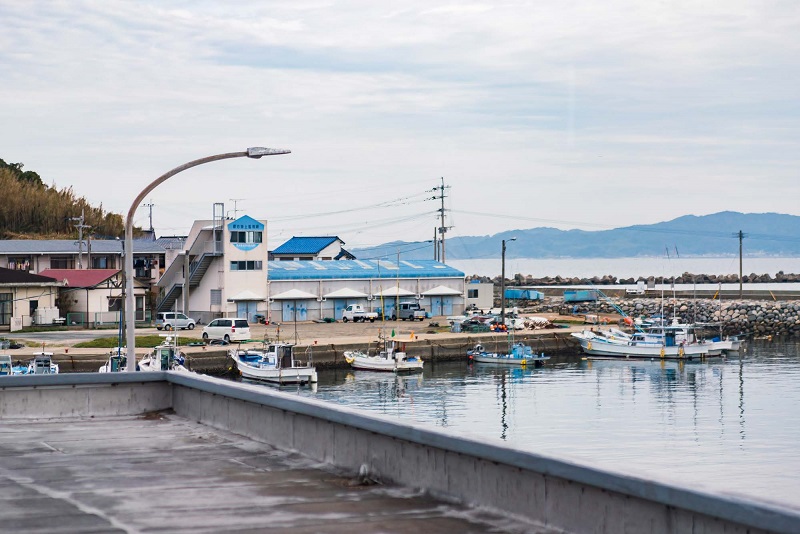 画像：唐泊漁港