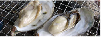 唐泊Web（外部サイト）