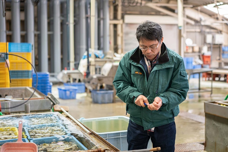 画像：マガキを剥く様子