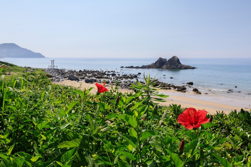画像：海岸の様子