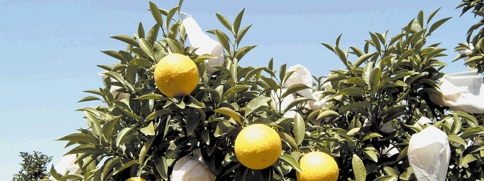 トップイメージ画像