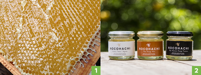 画像:「NOKOHACHI」の商品