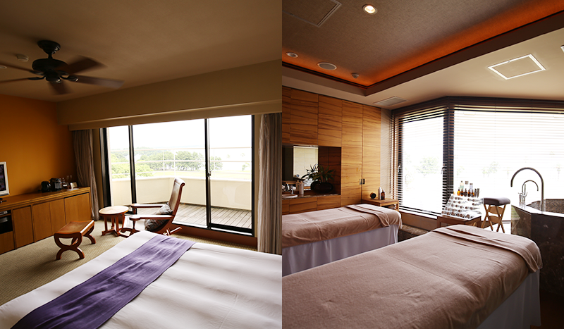 画像:客室の様子