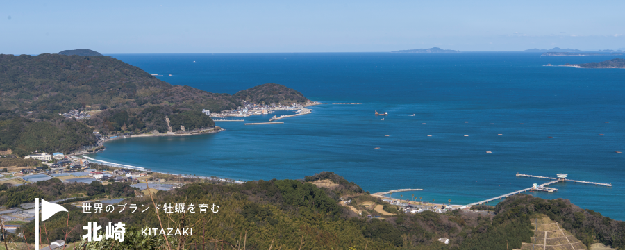 世界のブランド牡蠣を育む　北崎