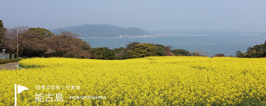 四季の花咲く行楽地　能古島