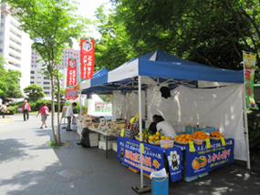 開催イメージ写真