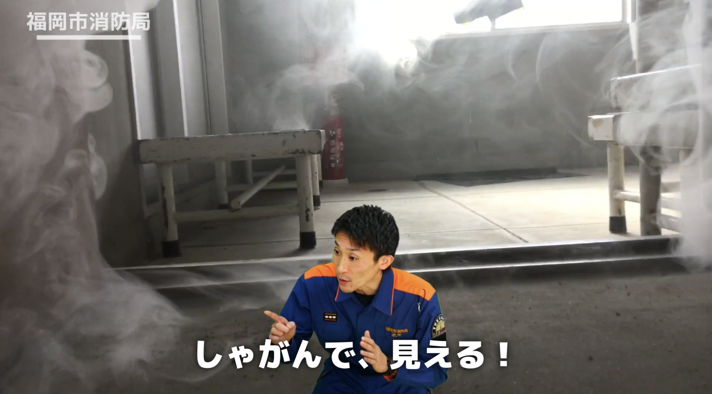 しゃがんで、見える！