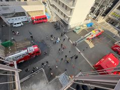 イベントの様子や、はしご車や消防車を撮影した写真