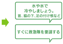 対策：水や氷で冷やしましょう。首、脇の下、足の付け根など。すぐに救急隊を要請する。